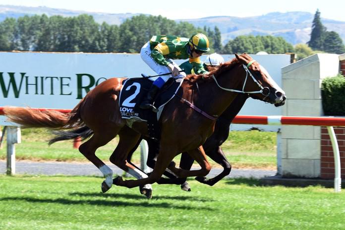Guineas contender not for sale