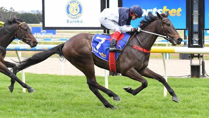 Redwood Shadow emerges as a Derby chance