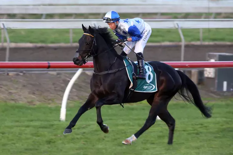 Rockspell ready for next step after Pukekohe performance