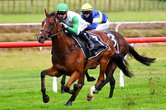 Trainers looking to 3YO to bounce back to best