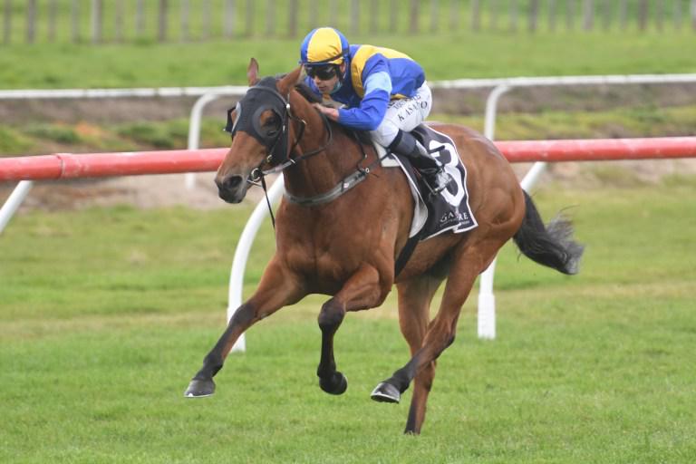 Baker and Forsman throw in dual entry for Victoria Derby
