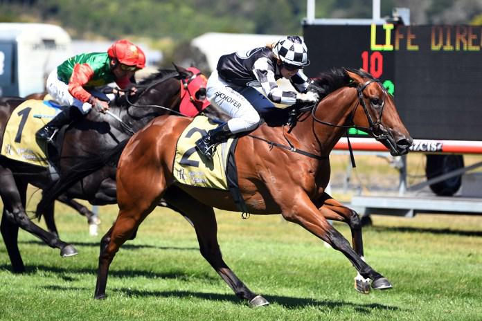 Levin Classic top target now for Shamus