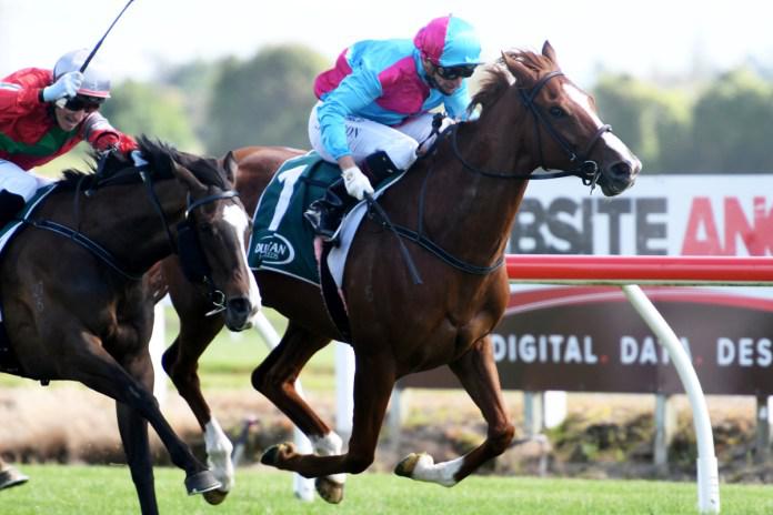 Bosson magic secures stakes victory for Showoroses