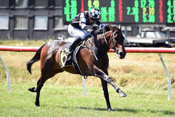 Auckland Cup likely for Sinarahma