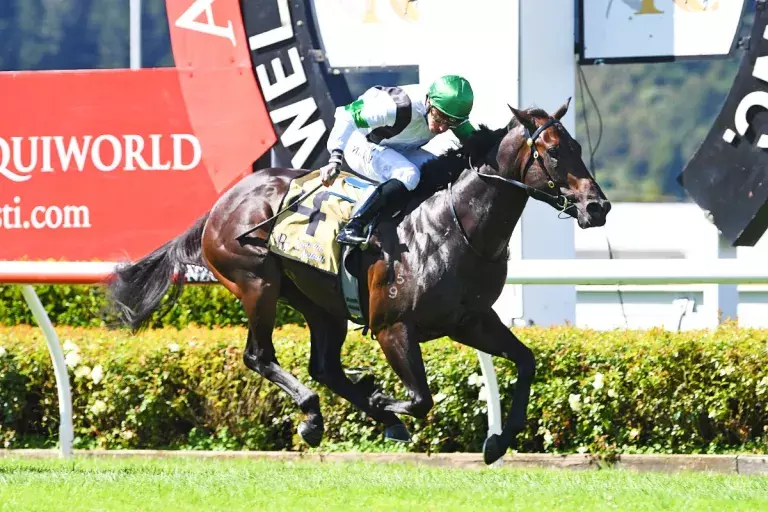Pike banking on Slipper Island for Guineas