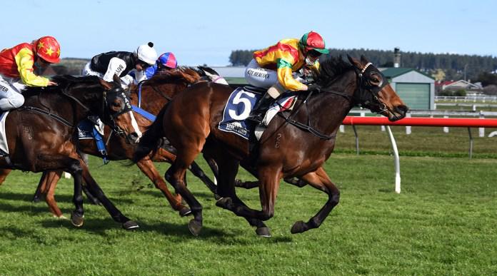 Soldier Boy marches to Guineas success