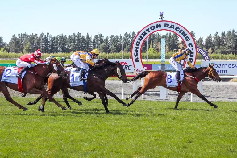 Specialty upsets in Ashburton feature