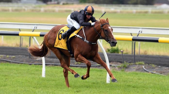 Ruakaka filly strengthens Oaks bid with thrilling victory