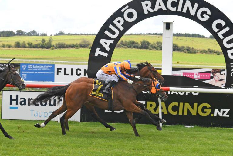 Stella Splendida to target stakes after Taupo win
