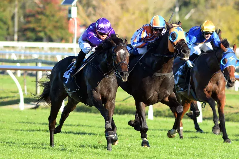 Swords Drawn takes out Hawke's Bay Cup