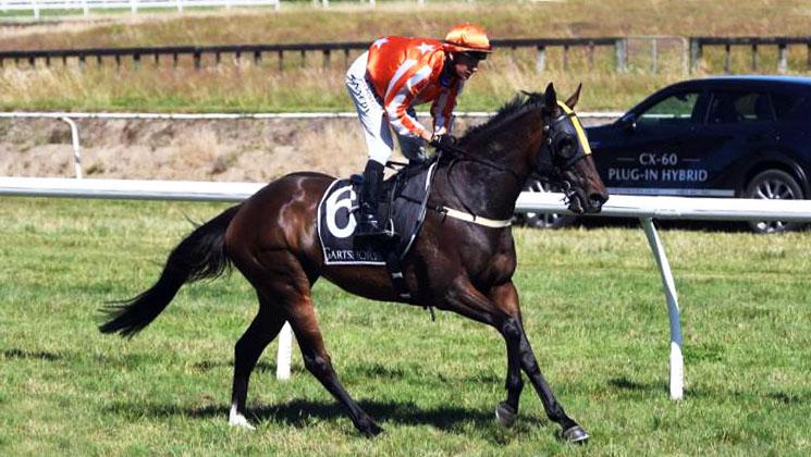 In-form stable tackles Taranaki features