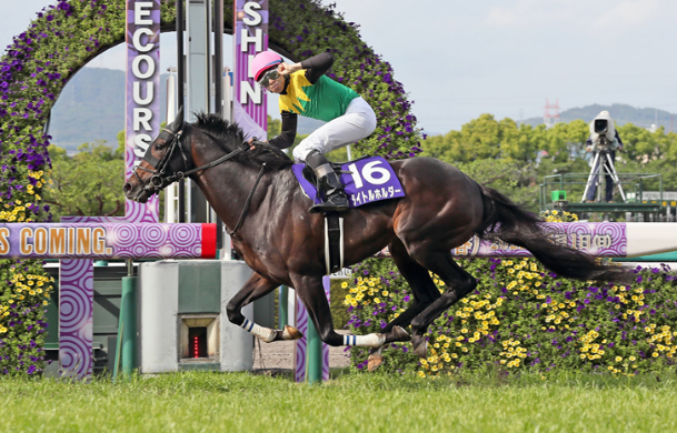 Tenno Sho (Spring) (G1) Race Preview : Kyoto - Sunday, 30th April 2023