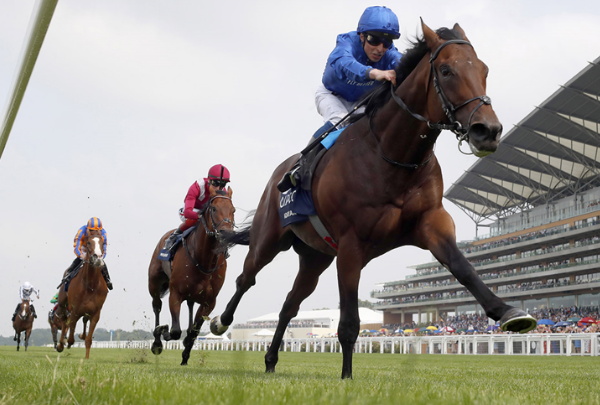 Adayar starts out on road to Ascot