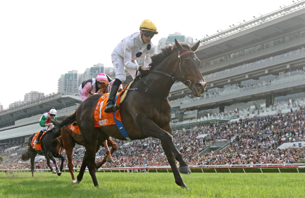 FWD Champions Day a triumph for Hong Kong