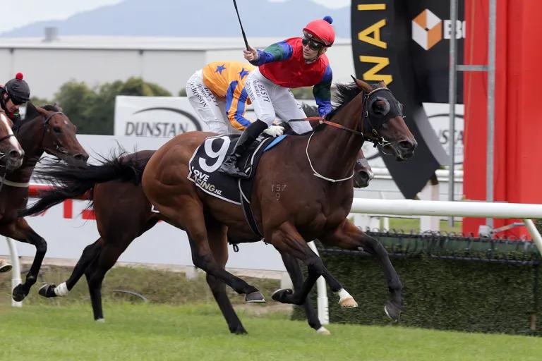 Rogerson has an eye to the future with stable stars