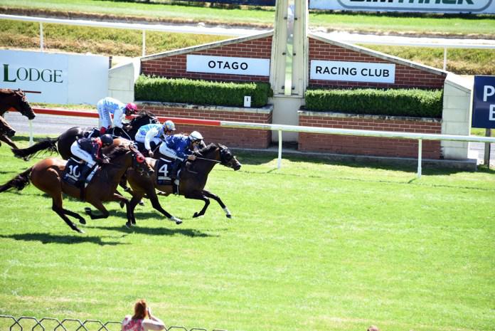 Back-to-back Guineas for Showemhowitsdone