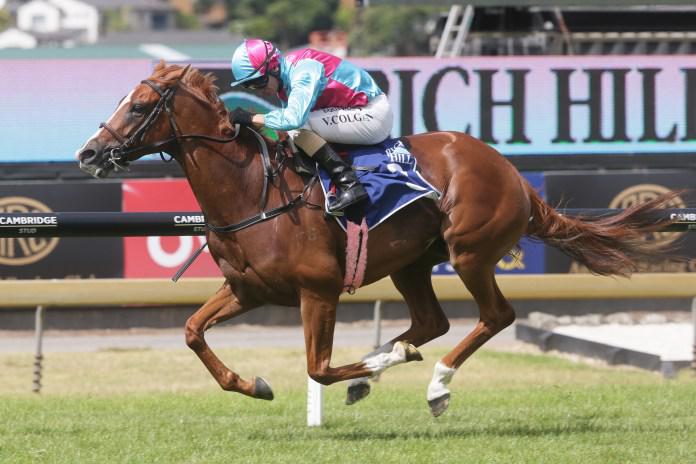 Surgenor mare blooming ahead of more Group assignments