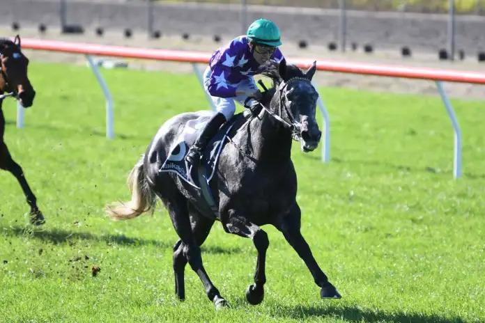 Wexford 3yos out for Te Rapa success