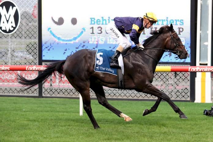 Runaway win for Snapper