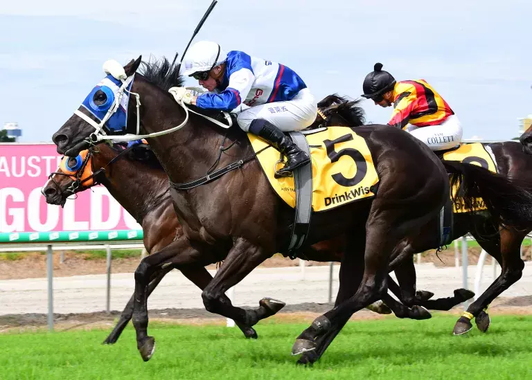 Stardome too strong in Gold Coast Cup