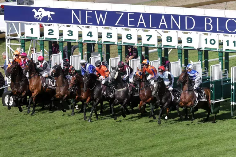 Lowland Stakes Day moves to Awapuni