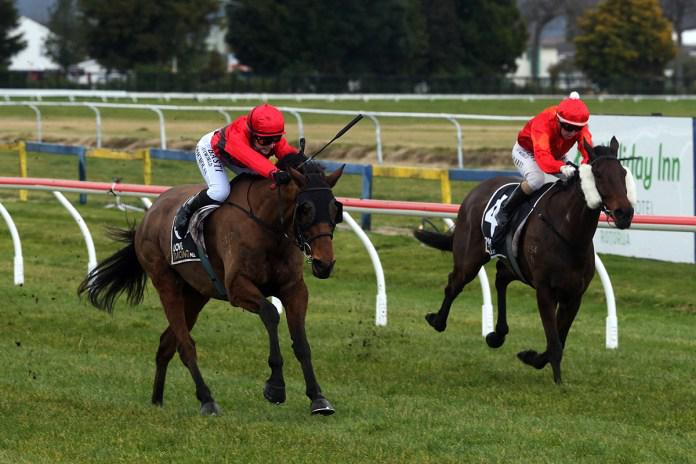Jumping career on hold for Taumarunui Gold Cup winner