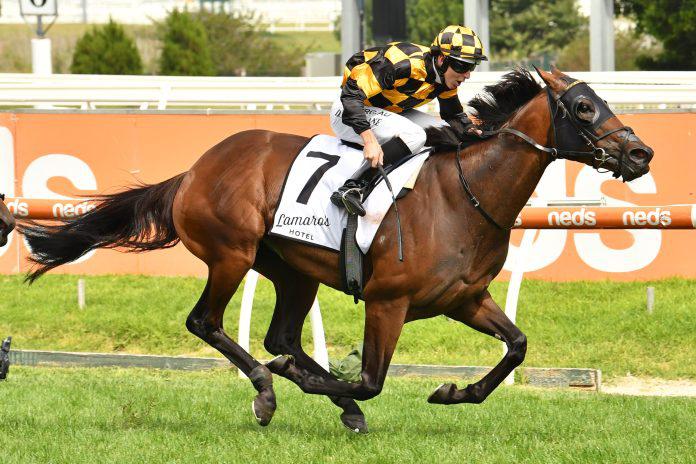 Tough Kiwi mare adds third Group One in Futurity