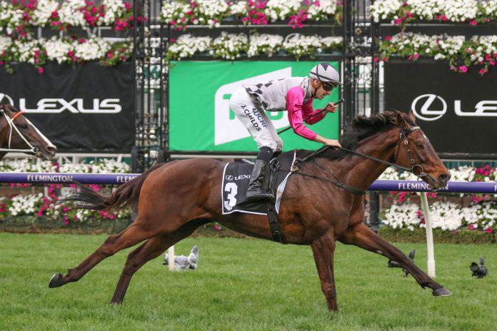 Sandown Surprise with no Baby in Zipping
