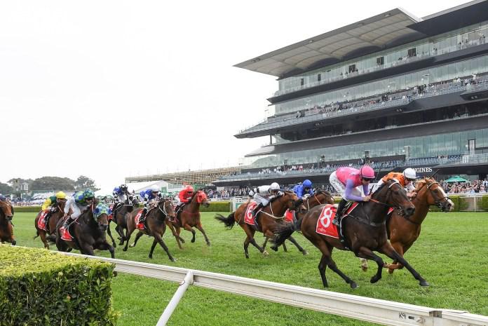 NSW Racing receives prize money boost