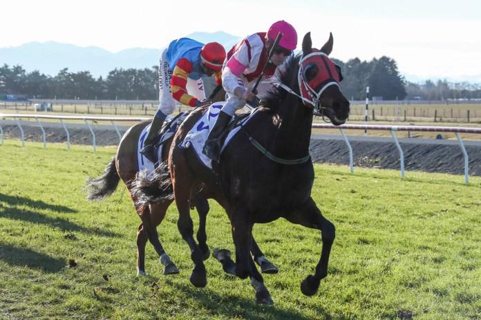 Stewart eyes timely win in Sunday's Waimate Cup