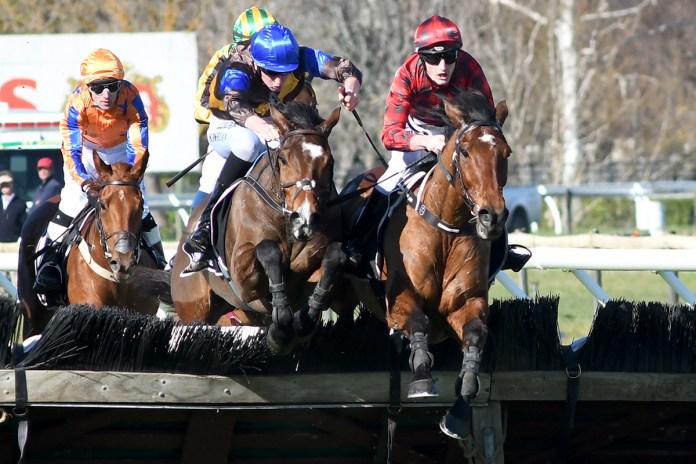 Wellington Hurdle victory for The Cossack