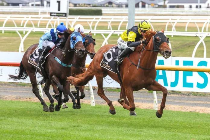 The Hottie a dominant winner at Riccarton