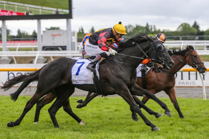 Bosson hoping for perfect Derby trial at Te Rapa