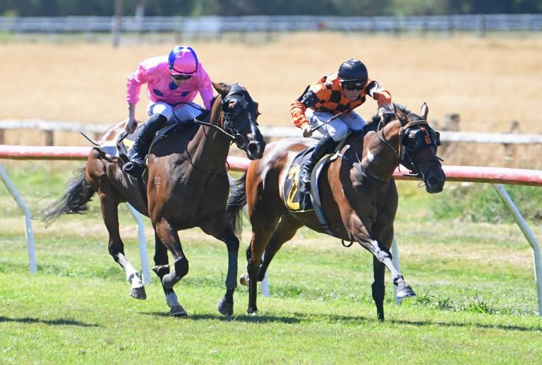 Town Cryer tops in Thoroughbred Breeders Stakes