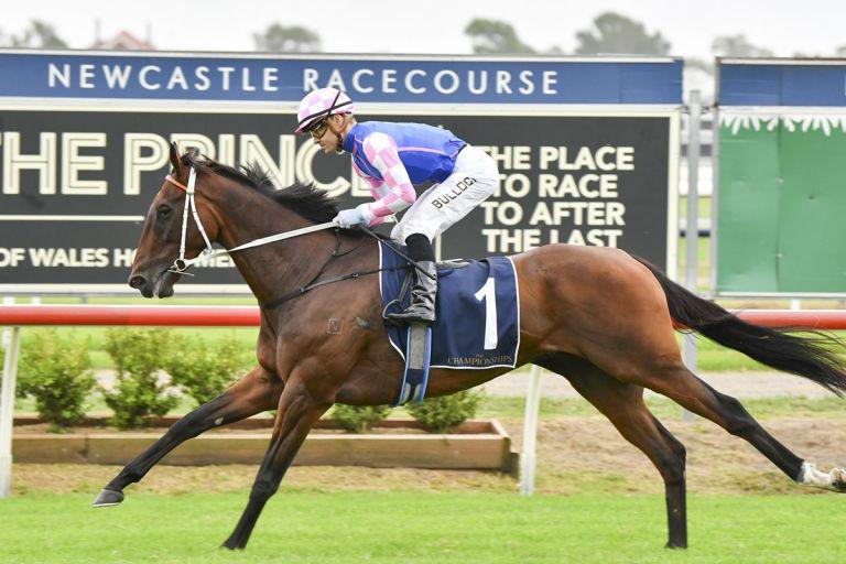 Championship Final fancy set for Rosehill lead-up