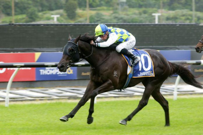 Pike doubles down on Riccarton features