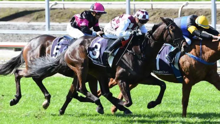 Foote trio ready for Pukekohe