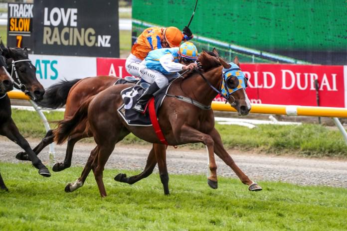 Freebie set to add to stakes record at Riccarton