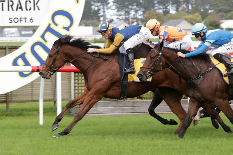 The Racketeer earns Brisbane trip with Avondale victory