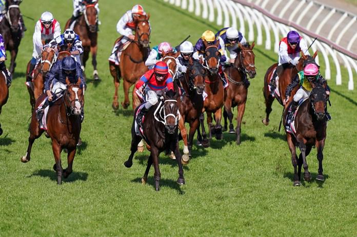Melbourne Cup target for gallant The Chosen One