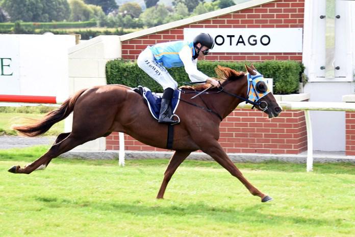 The Gift on trial for Breeders' Stakes