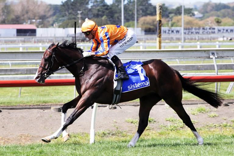 Tokyo Tycoon looking to add another Wellington Guineas for Te Akau
