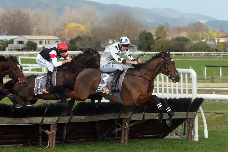 Tommyra out to honour Toby in the Waikato Hurdle