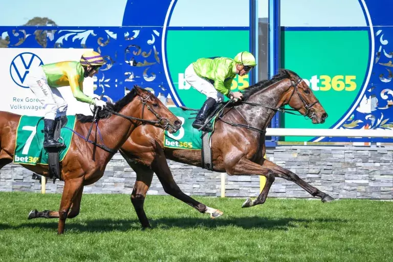 Adelaide Cup for Tralee Rose