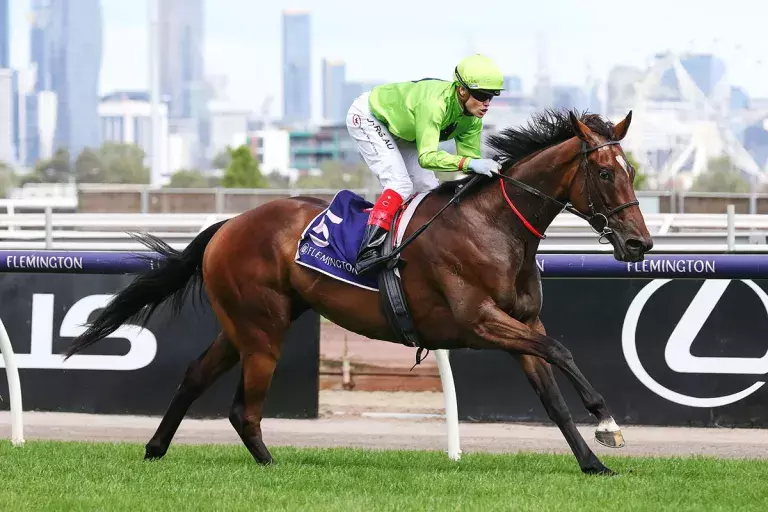 Rose again on Melbourne Cup path