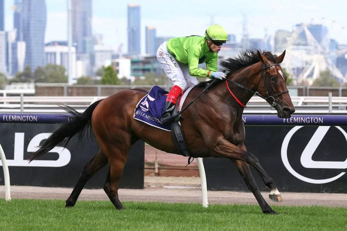 Tralee Rose has Adelaide Cup at her mercy