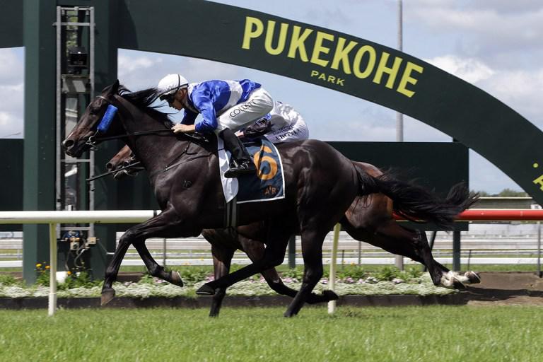 Trust In You continues Cup preparation at Ellerslie
