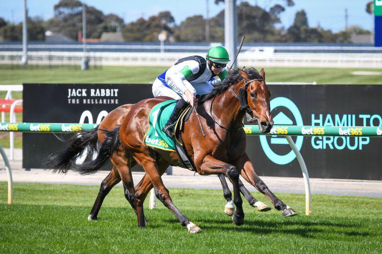 Pike pair to clash in Avondale Guineas