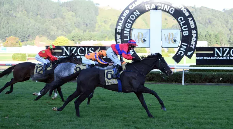 Verry Flash upsets in Rangitikei Gold Cup