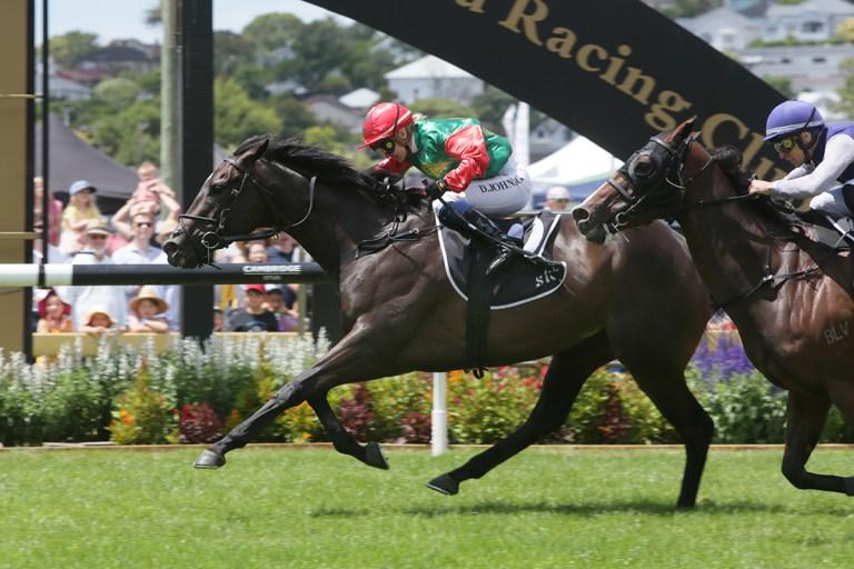 Promising mares feature prominently at Ellerslie